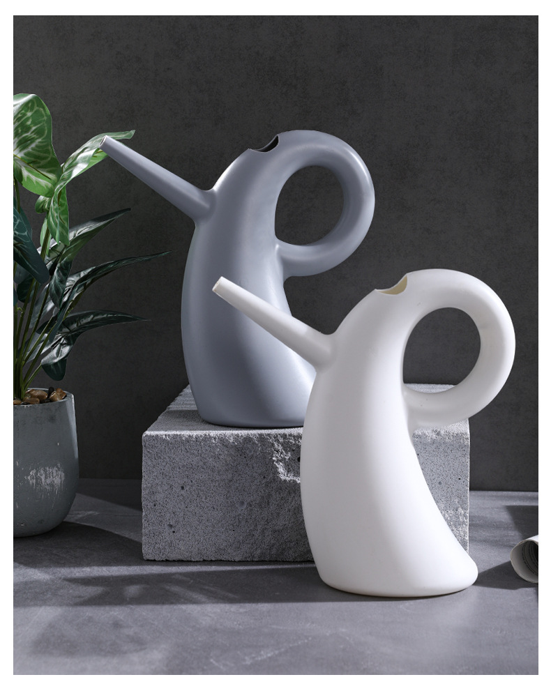 Elegante Gietketel met Verlengde Tuit voor Nauwkeurige Watergift-4