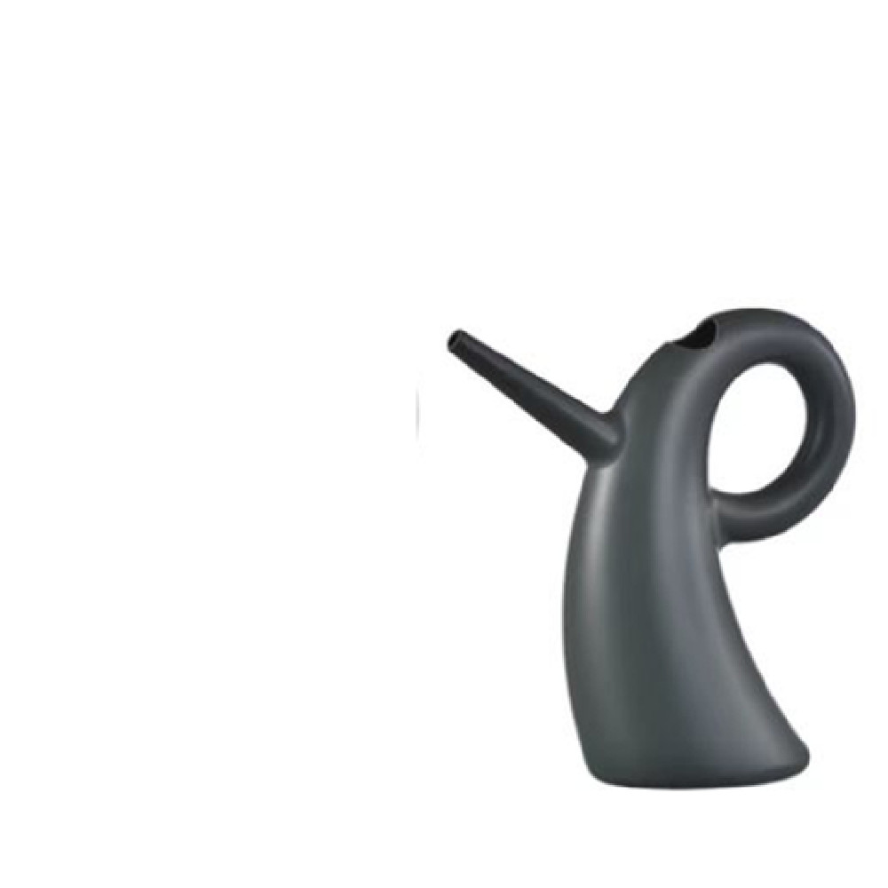 Elegante Gietketel met Verlengde Tuit voor Nauwkeurige Watergift-1